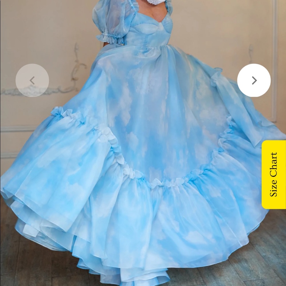 Selkie like new Head in the Clouds Ritz Gown